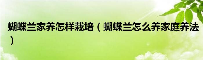 蝴蝶兰家养怎样栽培（蝴蝶兰怎么养家庭养法）