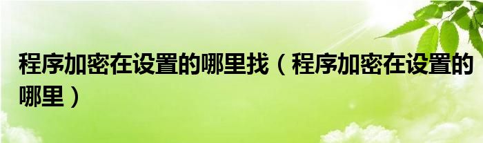 程序加密在设置的哪里找（程序加密在设置的哪里）