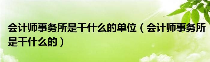 会计师事务所是干什么的单位（会计师事务所是干什么的）