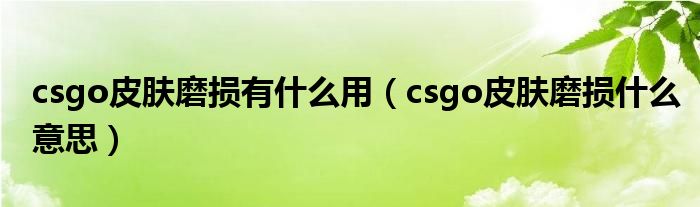 csgo皮肤磨损有什么用（csgo皮肤磨损什么意思）