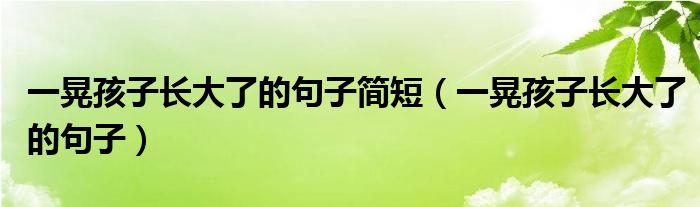 一晃孩子长大了的句子简短（一晃孩子长大了的句子）