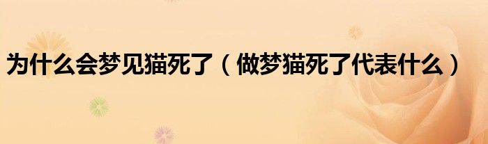 为什么会梦见猫死了（做梦猫死了代表什么）