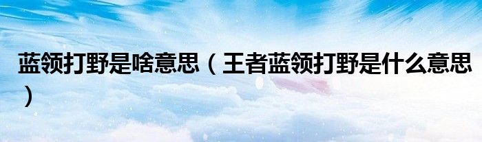 蓝领打野是啥意思（王者蓝领打野是什么意思）