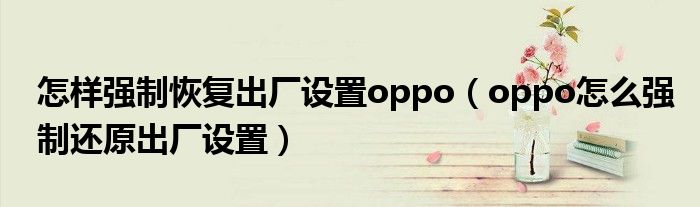 怎样强制恢复出厂设置oppo（oppo怎么强制还原出厂设置）