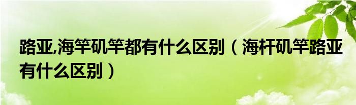 路亚,海竿矶竿都有什么区别（海杆矶竿路亚有什么区别）