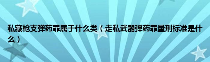 私藏枪支弹药罪属于什么类（走私武器弹药罪量刑标准是什么）