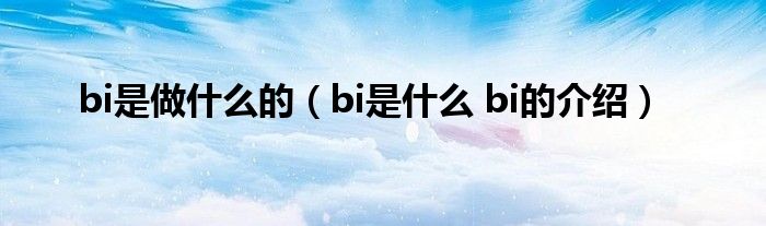 bi是做什么的（bi是什么 bi的介绍）