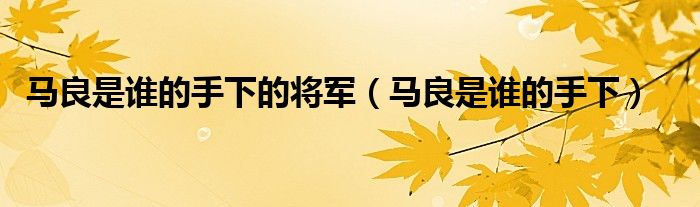 马良是谁的手下的将军（马良是谁的手下）