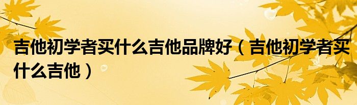 吉他初学者买什么吉他品牌好（吉他初学者买什么吉他）