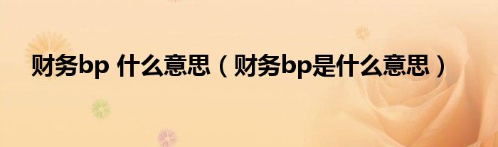 财务bp 什么意思（财务bp是什么意思）