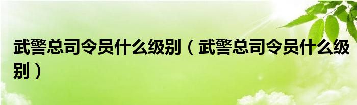 武警总司令员什么级别（武警总司令员什么级别）