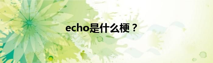 echo是什么梗？