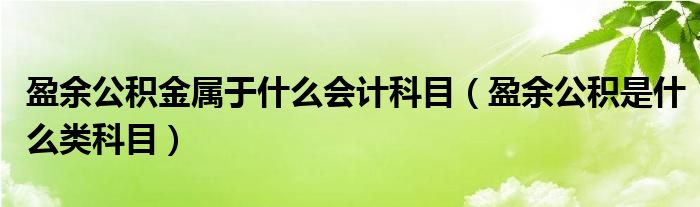 盈余公积金属于什么会计科目（盈余公积是什么类科目）