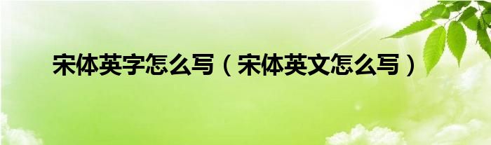 宋体英字怎么写（宋体英文怎么写）