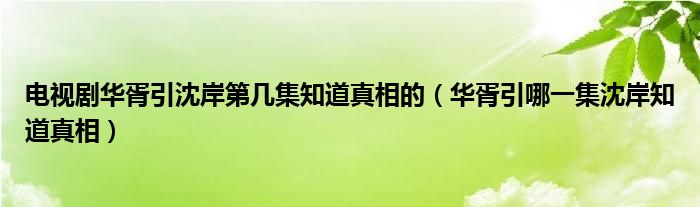 电视剧华胥引沈岸第几集知道真相的（华胥引哪一集沈岸知道真相）