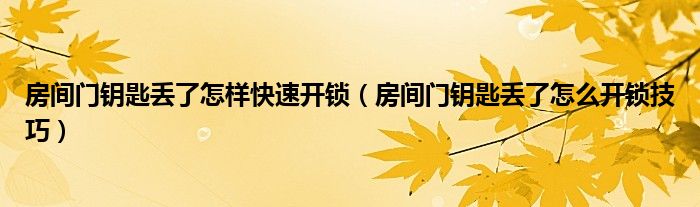 房间门钥匙丢了怎样快速开锁（房间门钥匙丢了怎么开锁技巧）