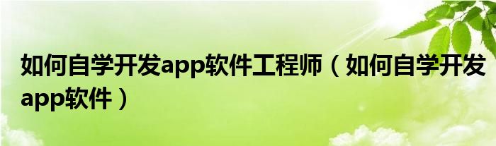 如何自学开发app软件工程师（如何自学开发app软件）