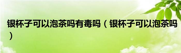 银杯子可以泡茶吗有毒吗（银杯子可以泡茶吗）