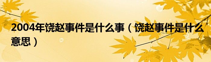 2004年饶赵事件是什么事（饶赵事件是什么意思）