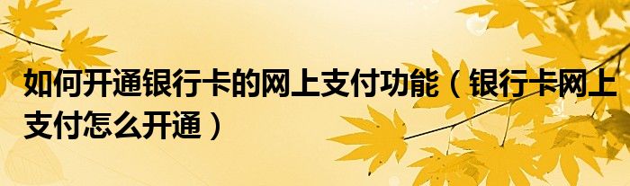 如何开通银行卡的网上支付功能（银行卡网上支付怎么开通）