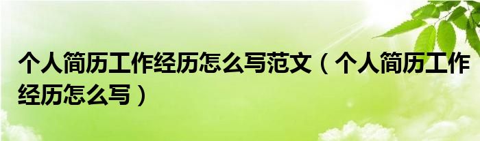 个人简历工作经历怎么写范文（个人简历工作经历怎么写）