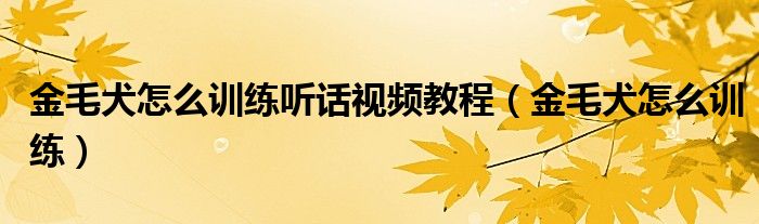 金毛犬怎么训练听话视频教程（金毛犬怎么训练）