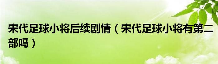 宋代足球小将后续剧情（宋代足球小将有第二部吗）