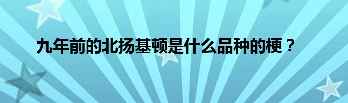 九年前的北扬基顿是什么品种的梗？