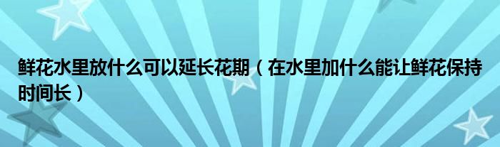 鲜花水里放什么可以延长花期（在水里加什么能让鲜花保持时间长）