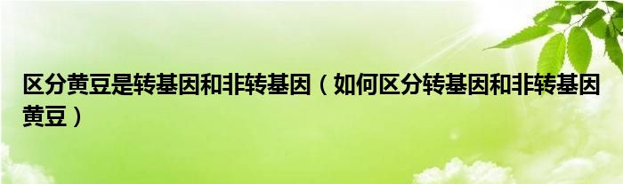 区分黄豆是转基因和非转基因（如何区分转基因和非转基因黄豆）