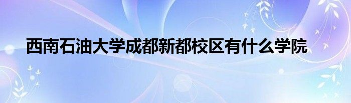 西南石油大学成都新都校区有什么学院