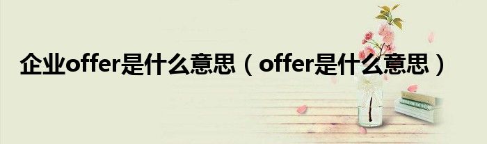 企业offer是什么意思（offer是什么意思）