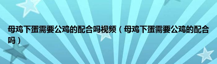 母鸡下蛋需要公鸡的配合吗视频（母鸡下蛋需要公鸡的配合吗）