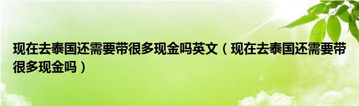 现在去泰国还需要带很多现金吗英文（现在去泰国还需要带很多现金吗）