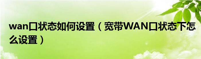 wan口状态如何设置（宽带WAN口状态下怎么设置）