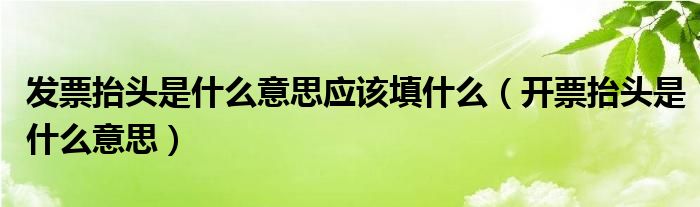 发票抬头是什么意思应该填什么（开票抬头是什么意思）