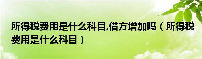 所得税费用是什么科目,借方增加吗（所得税费用是什么科目）