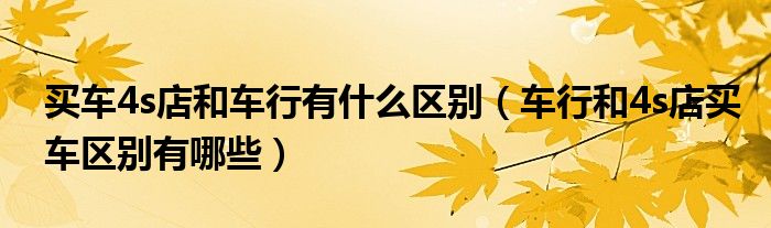 买车4s店和车行有什么区别（车行和4s店买车区别有哪些）