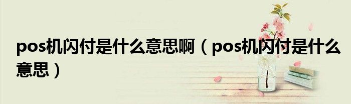 pos机闪付是什么意思啊（pos机闪付是什么意思）