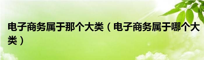 电子商务属于那个大类（电子商务属于哪个大类）