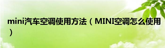 mini汽车空调使用方法（MINI空调怎么使用）