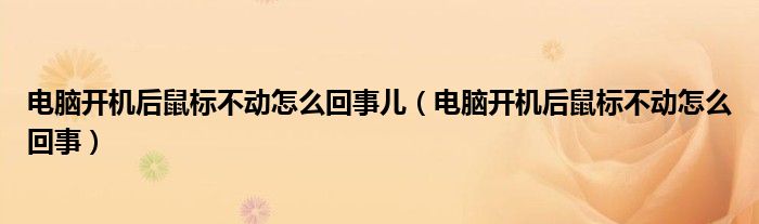 电脑开机后鼠标不动怎么回事儿（电脑开机后鼠标不动怎么回事）