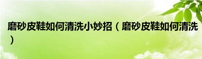 磨砂皮鞋如何清洗小妙招（磨砂皮鞋如何清洗）