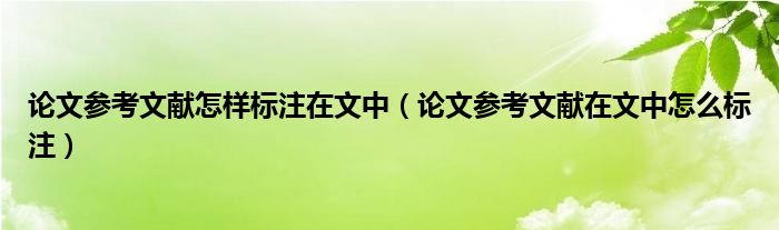 论文参考文献怎样标注在文中（论文参考文献在文中怎么标注）