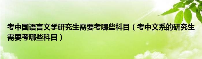 考中国语言文学研究生需要考哪些科目（考中文系的研究生需要考哪些科目）