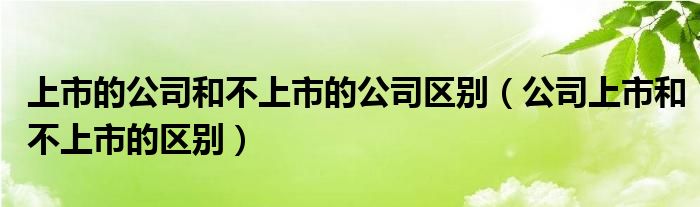 上市的公司和不上市的公司区别（公司上市和不上市的区别）