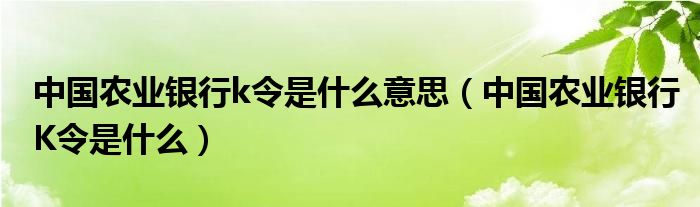 中国农业银行k令是什么意思（中国农业银行K令是什么）