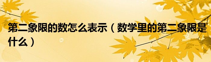 第二象限的数怎么表示（数学里的第二象限是什么）