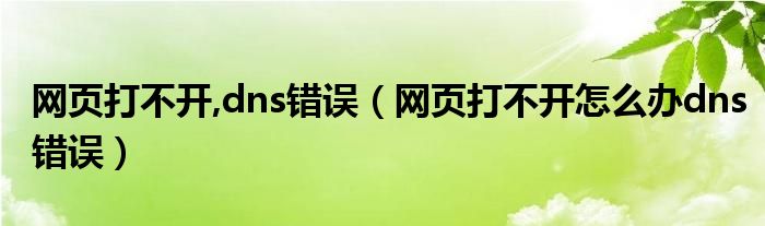 网页打不开,dns错误（网页打不开怎么办dns错误）