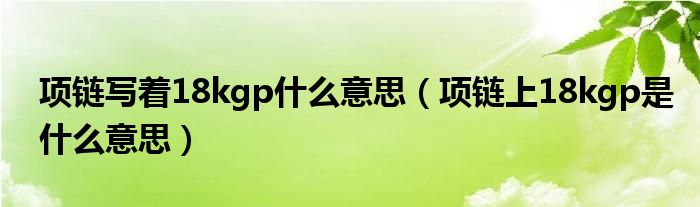 项链写着18kgp什么意思（项链上18kgp是什么意思）